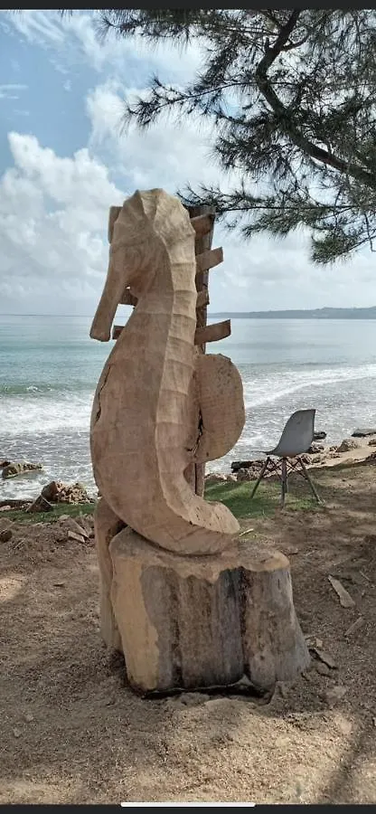 Holiday home Casa Peace Haven Beach House Aguada Puerto Rico