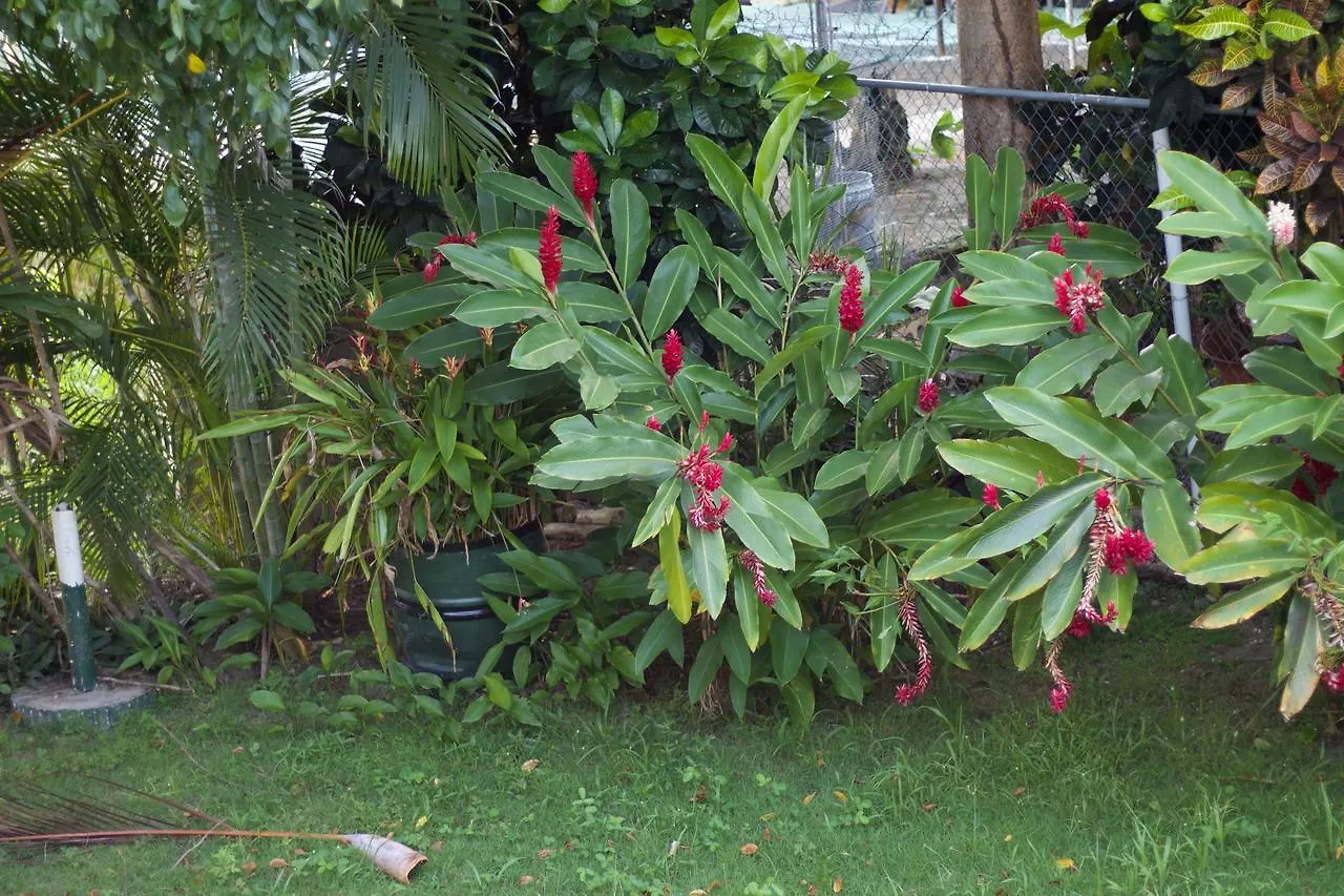 Casa Peace Haven Beach House Aguada Holiday home